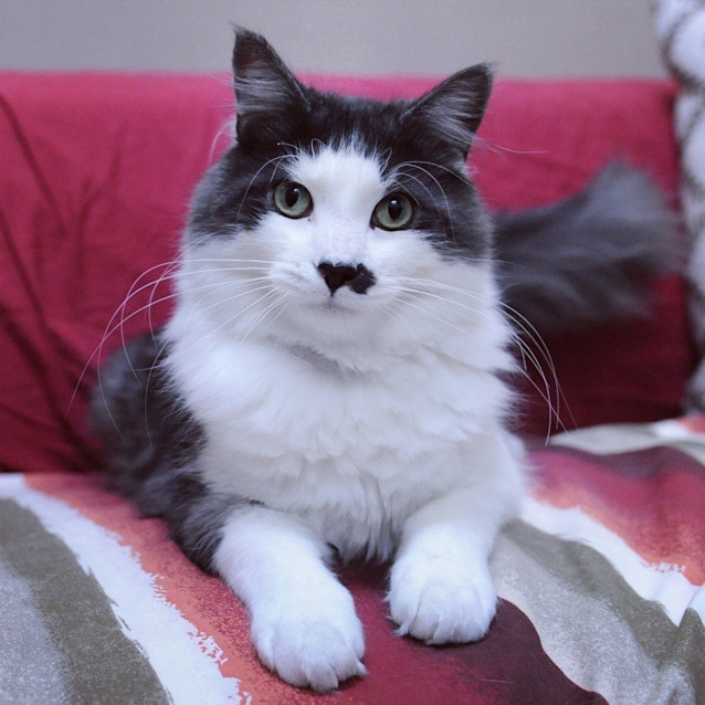 Photo of Luigi
