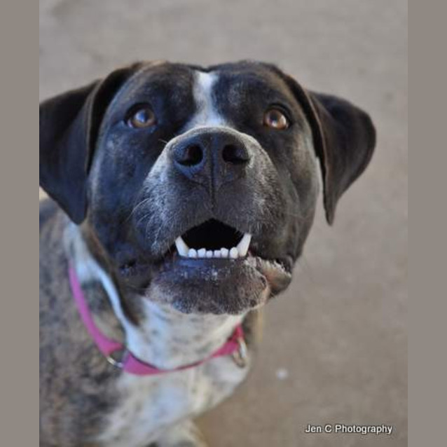 Photo of Stella ** A Quiet Gentle Girl **