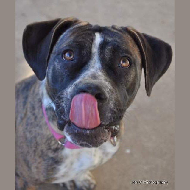 Photo of Stella ** A Quiet Gentle Girl **