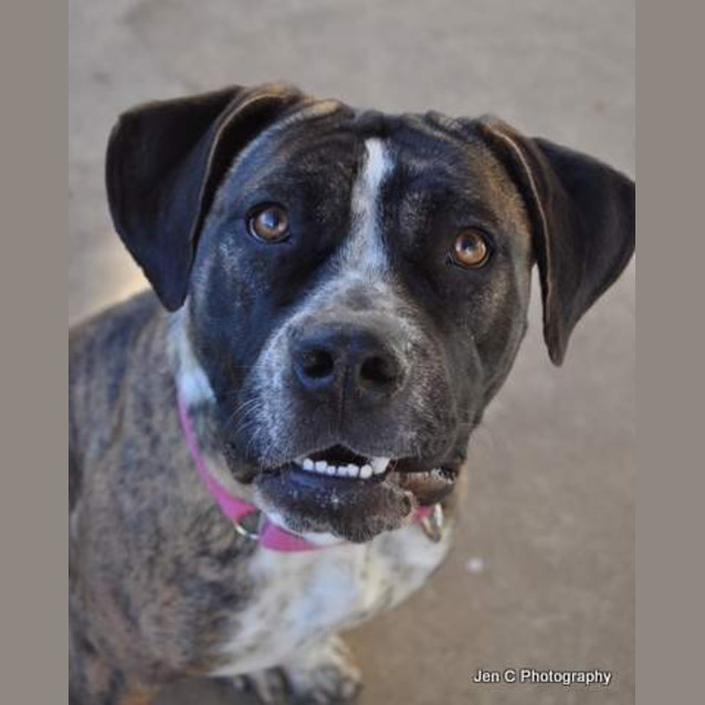 Photo of Stella ** A Quiet Gentle Girl **