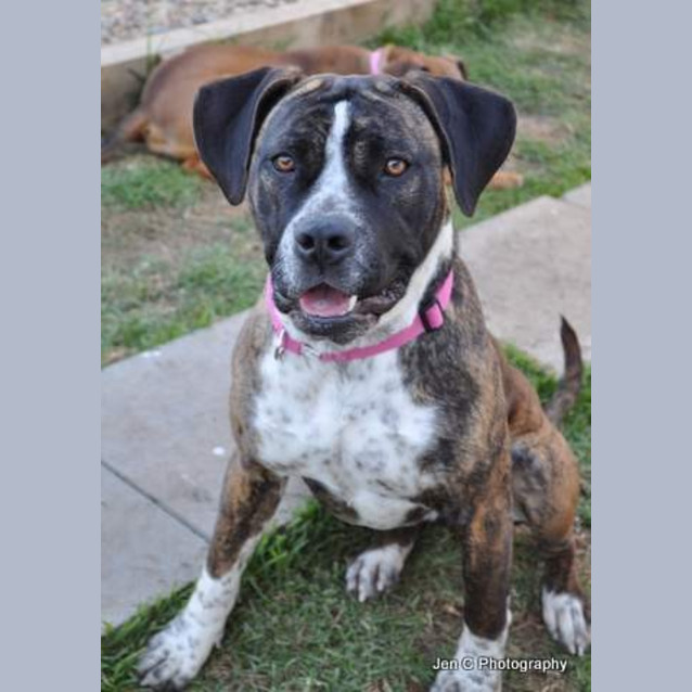 Photo of Stella ** A Quiet Gentle Girl **