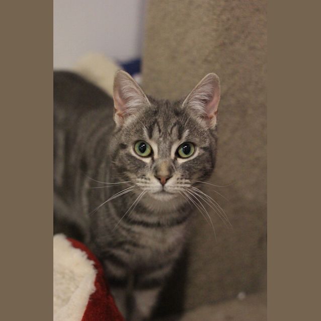 Photo of Sylvie