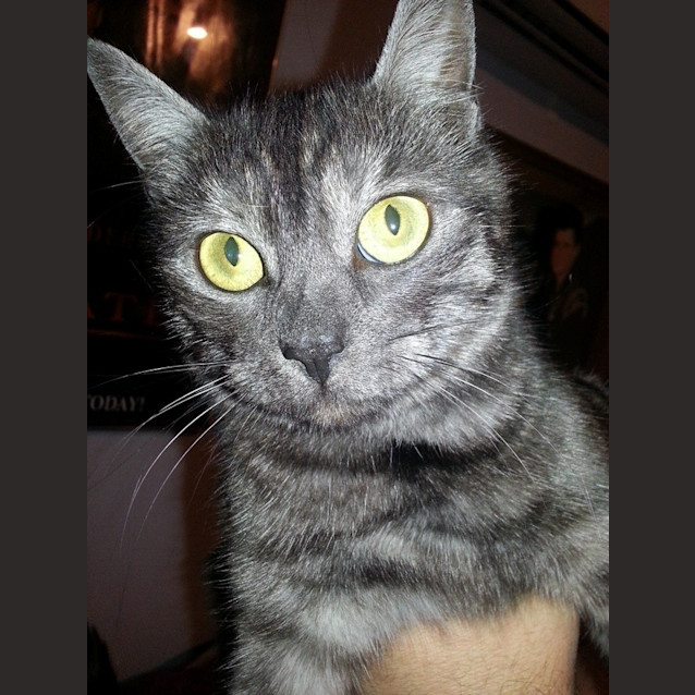 Photo of Lara