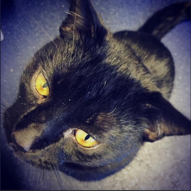 Photo of Salem
