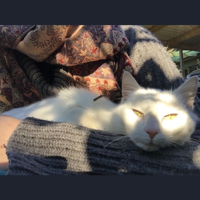 Photo of Minty 