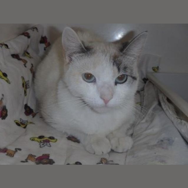 Photo of Claudette