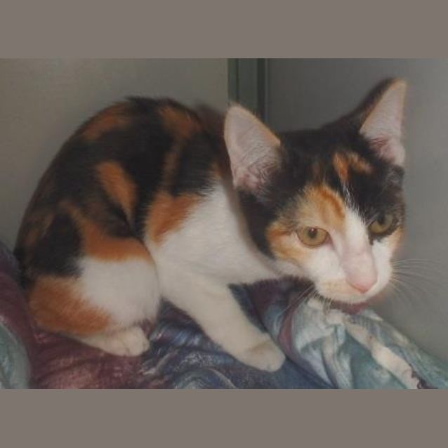 Photo of Sookie