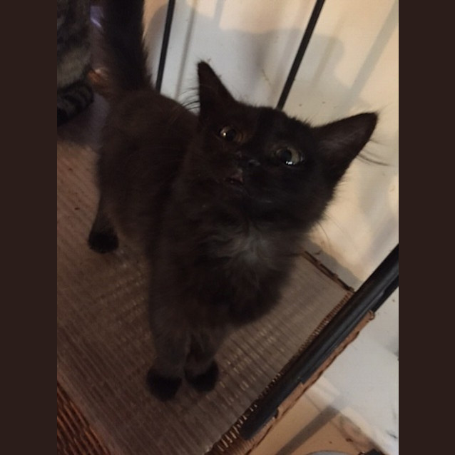 Photo of Madame