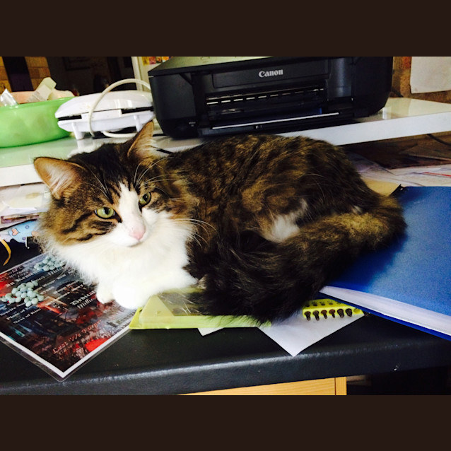 Photo of Leonard Reduced To $80