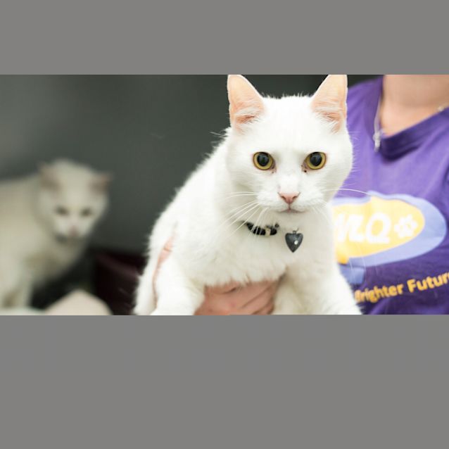 Photo of Storm