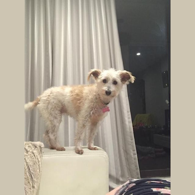 Photo of Daisy May
