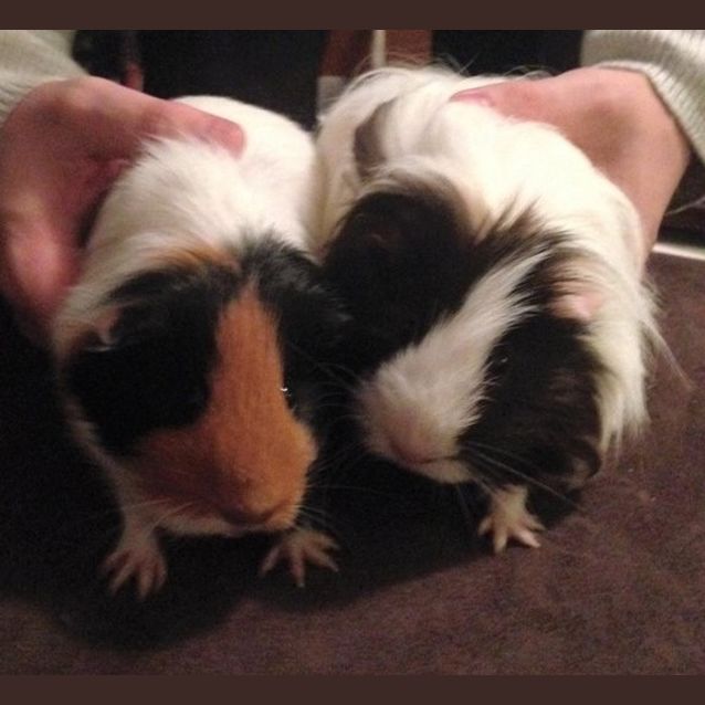 Photo of Hugh And Annabelle