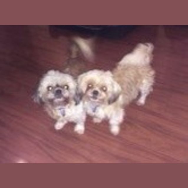 Photo of Itsy Bitsy & Babee