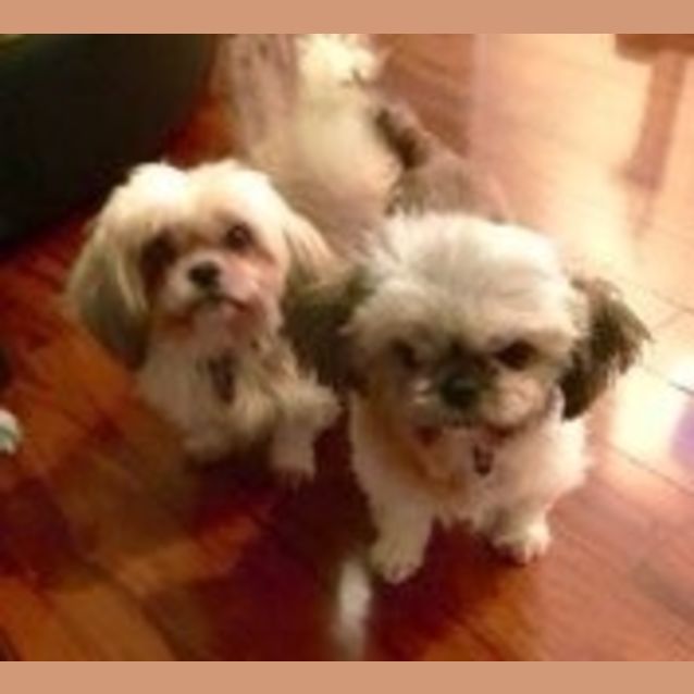 Photo of Itsy Bitsy & Babee