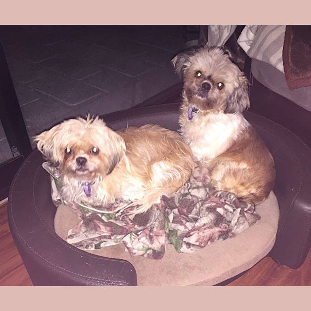 Photo of Itsy Bitsy & Babee