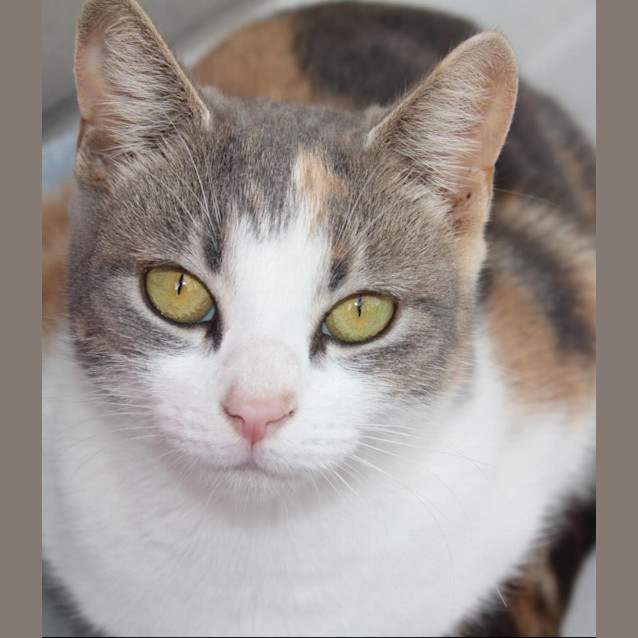 Photo of Faye