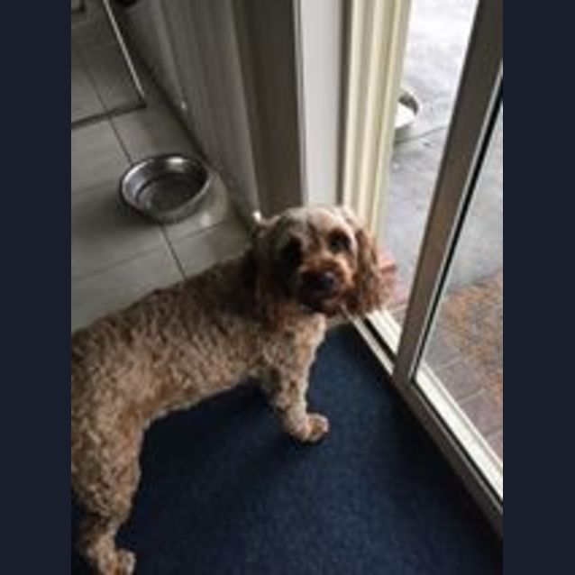 Photo of Rosie (On Trial) 