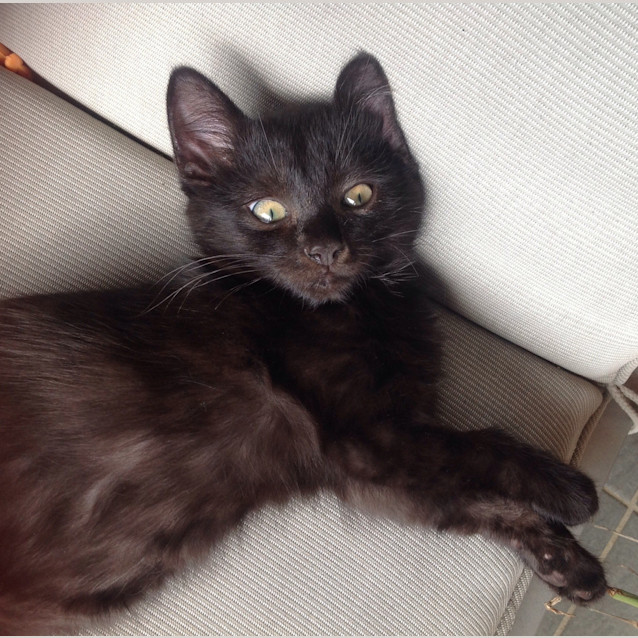 Photo of Little G