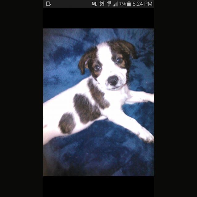 Photo of Lola