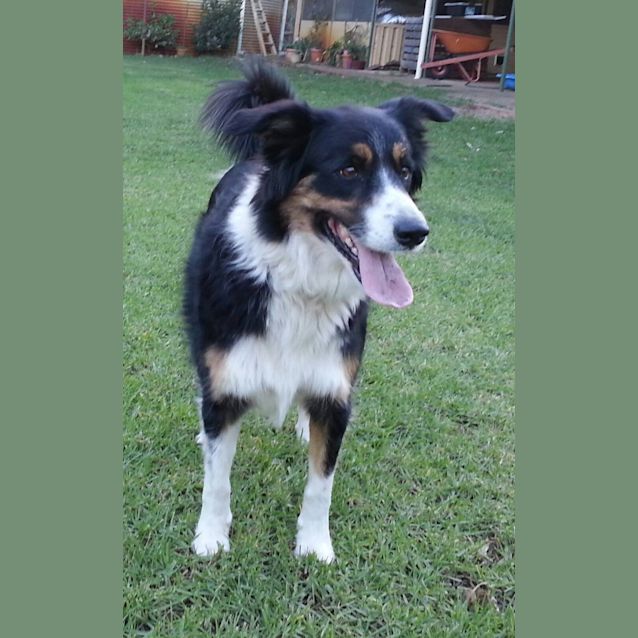 Photo of Tinkerbell Dl874