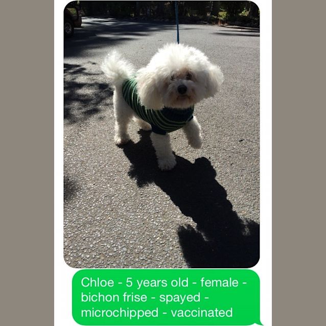 Photo of Chloe