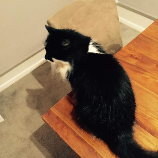 Photo of Mk (Miss Kisses)