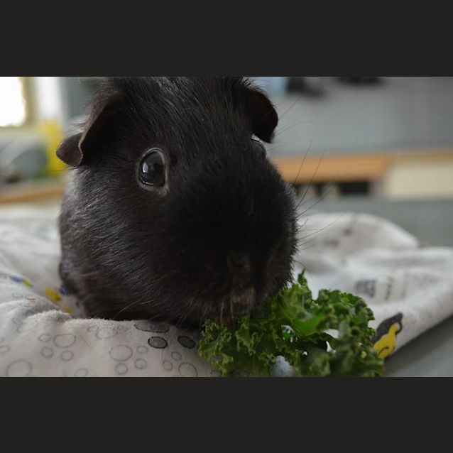 Photo of Rumball