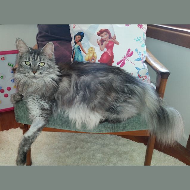 Photo of Waldo And Whitney