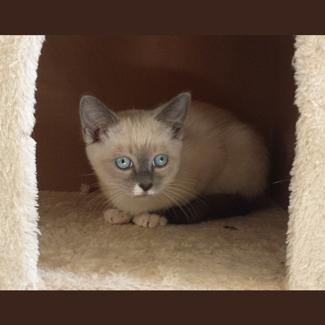 Photo of Twix