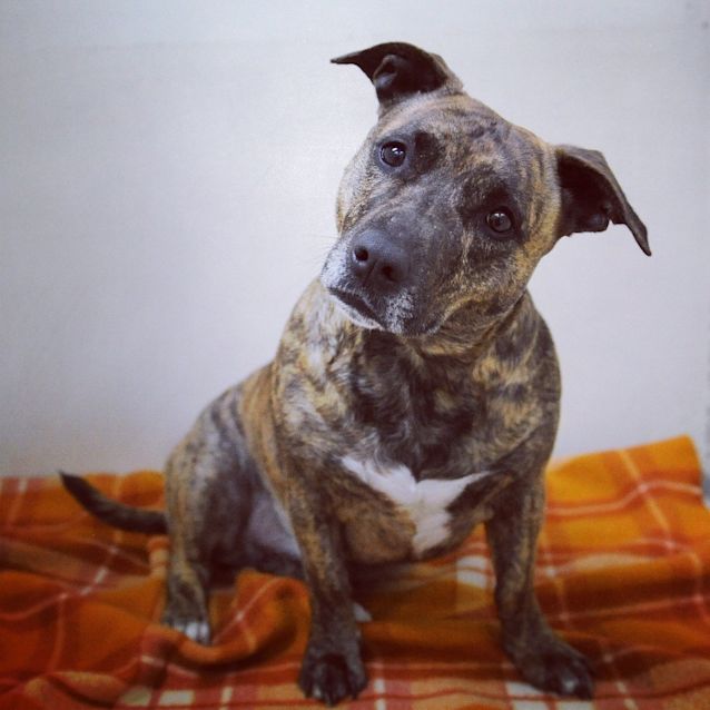 Photo of Lucy