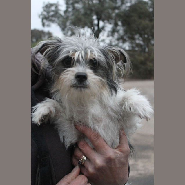 Photo of Maggie