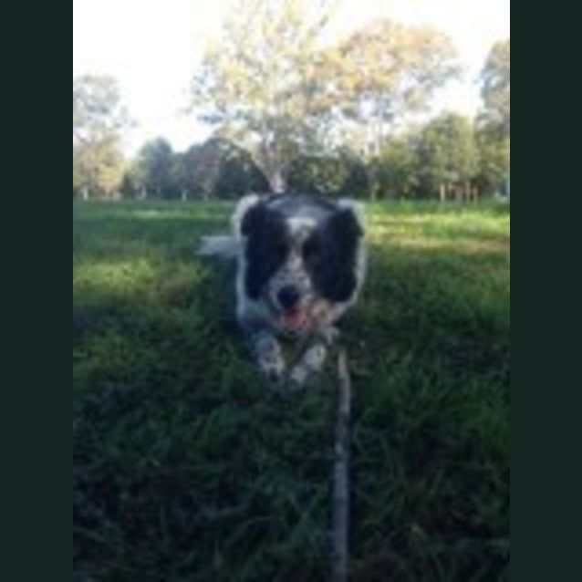Photo of Coby