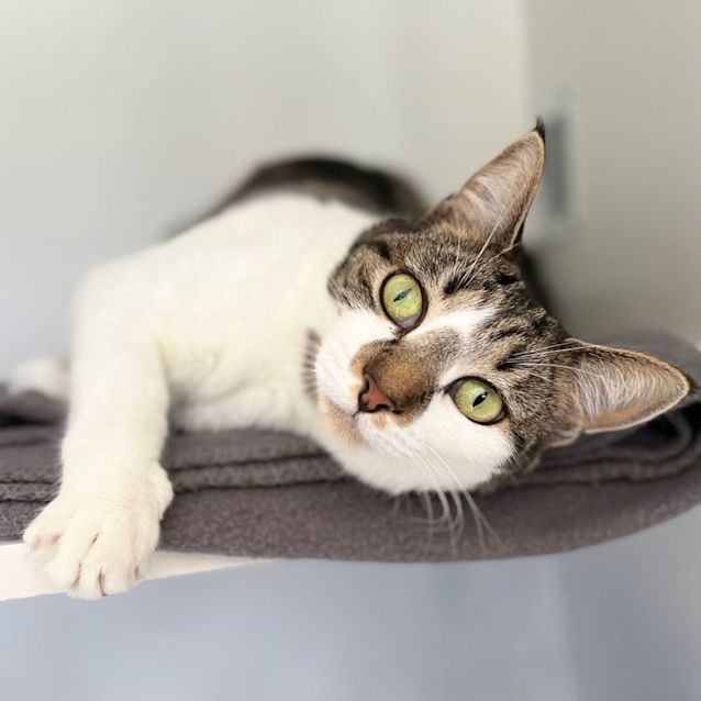 Photo of Snuggle Bug