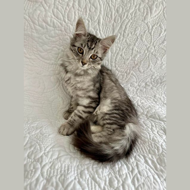 Photo of Rosi 