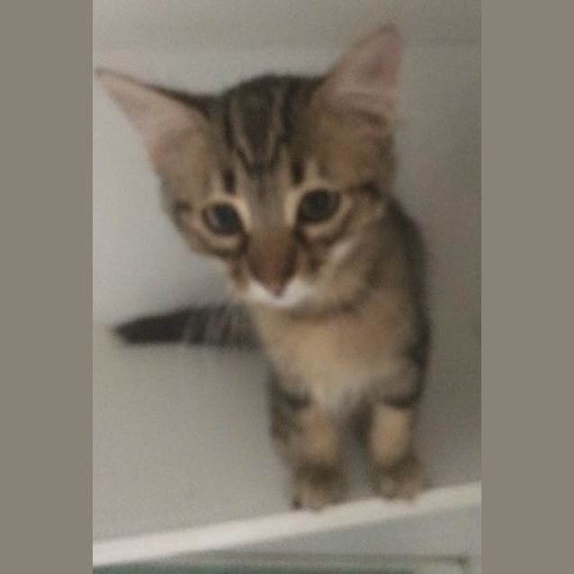 Photo of Hamish