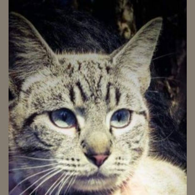 Photo of Jax