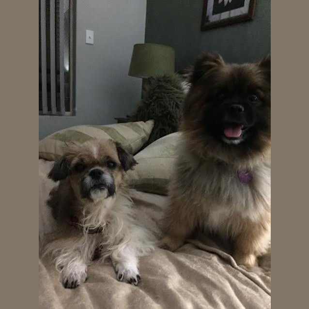 Photo of Bella Dl1077