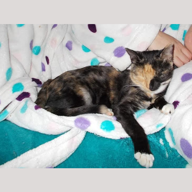 Photo of Mia