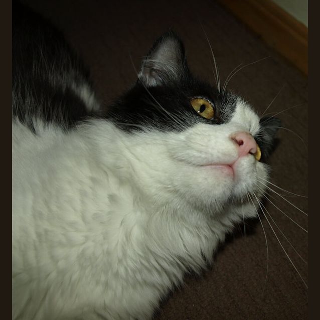 Photo of Effie
