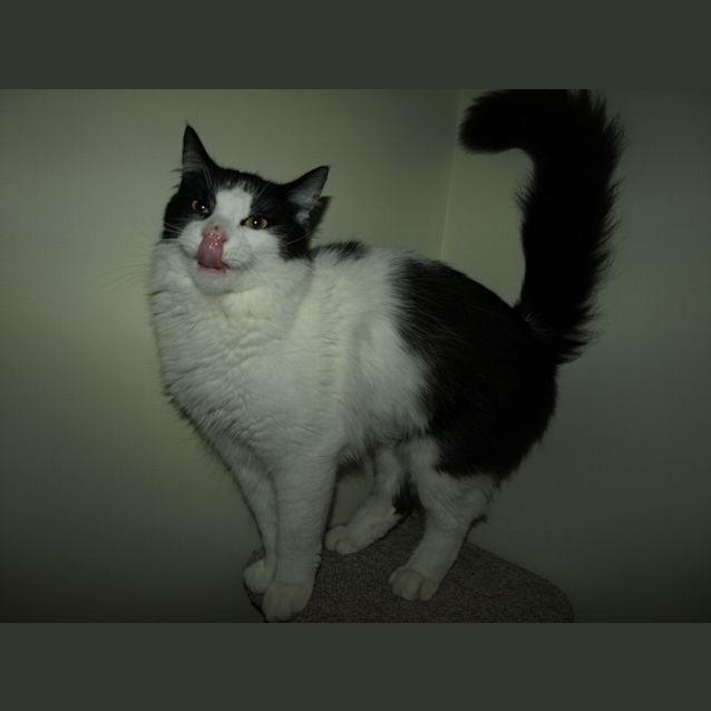 Photo of Effie