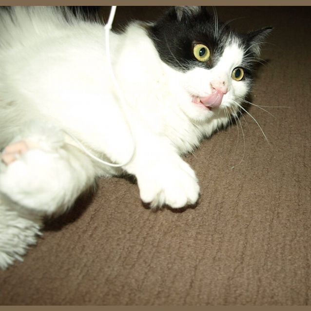 Photo of Effie