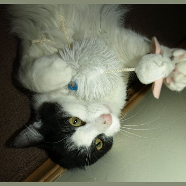 Photo of Effie