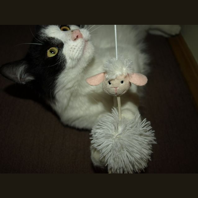 Photo of Effie