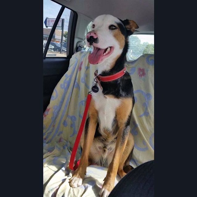 Photo of Jaxx