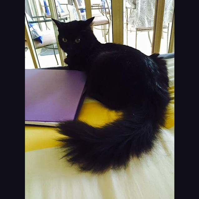 Photo of Carbon