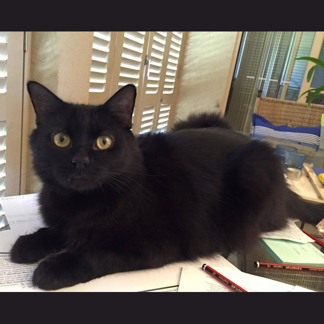 Photo of Carbon