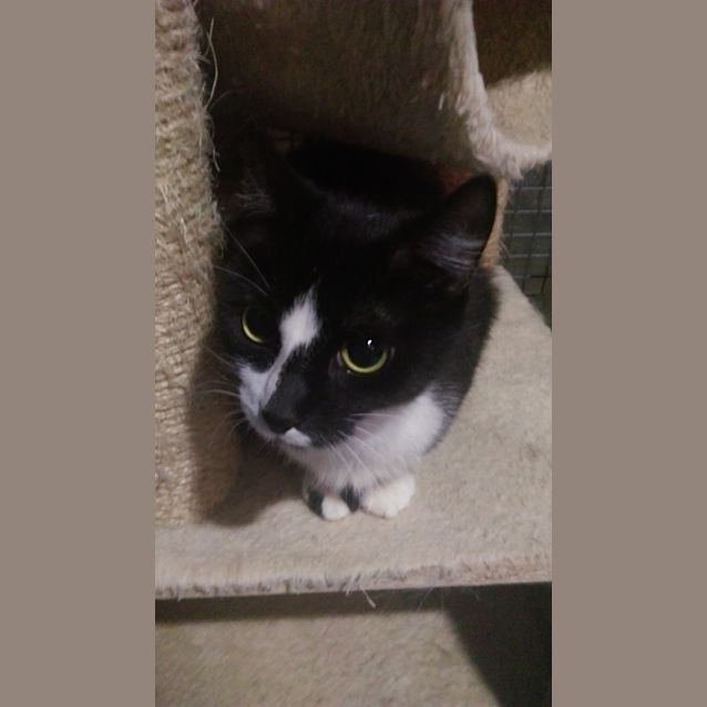 Photo of Penny