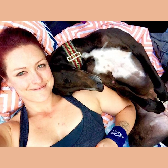 Photo of "Reggie". Lovable Sir Reginald. Brisbane