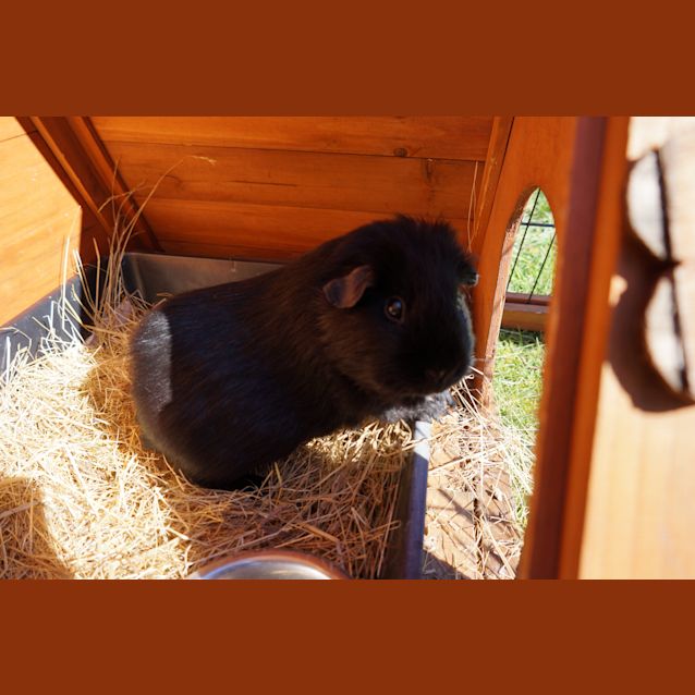 Photo of Maisey