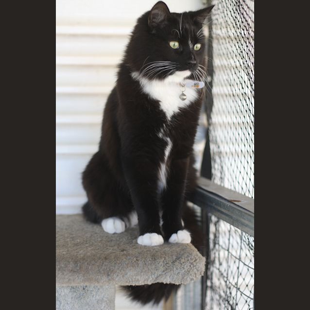Photo of Harley